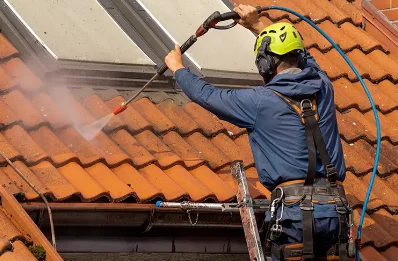 Démoussage et hydrofuge de toiture à Dullin